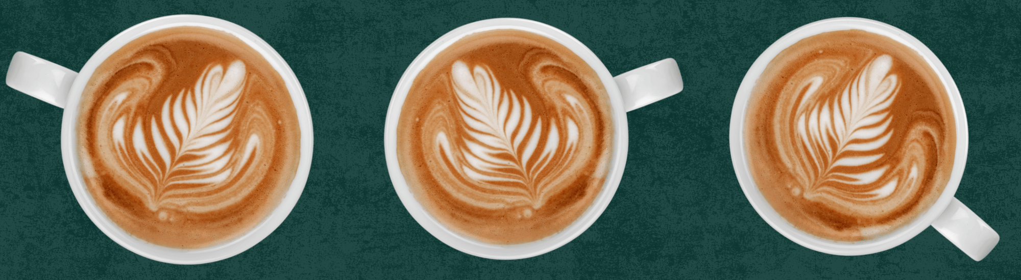 Wake with Wendy background